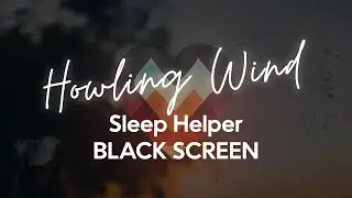 Howling Wind | SLEEP AID | BLACK SCREEN | 10 HOURS 🥰 SOUL AID