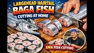 Largehead Hairtail Baga Fish Cutting at Home SMN Fish Cutting