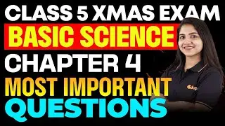 CLASS 5 BASIC SCIENCE CHAPTER 4 MOST IMPORTANT QUESTIONS