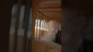 BODYCAM &ndash; Tactical FPS Action