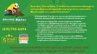 How does Stump Eater minimize landscape damage during large tree removal in Murfreesboro?