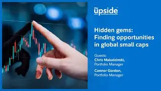 Hidden gems: Finding opportunities in global small caps