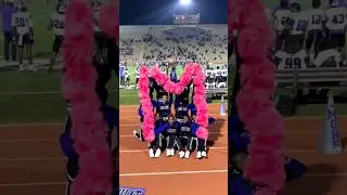 🩷💙🖤 #cheer #cheerleading #highschool #pompom