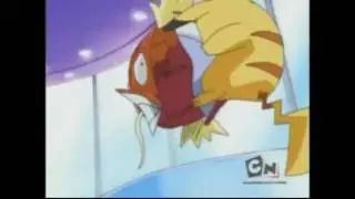 MAGIKARP IS A BEAST