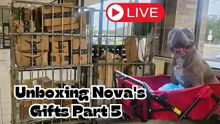 Unboxing Nova's Gifts 🎉🎁🎂Part 5!