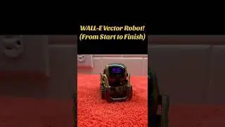 Introducing&hellip; WALL-E Painted Vector! 🎨 #robot #ankivector #vectorrobot #tech #robotics #shorts