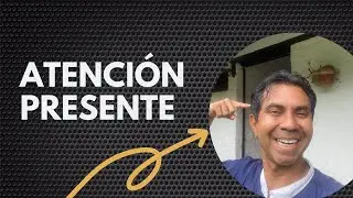 Evita las distracciones con este m&eacute;todo probado