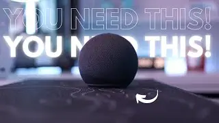 Why You NEED an Alexa For Your Setup!