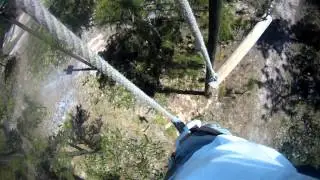 The most difficult part of level 5 at TreeUmph from my POV