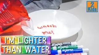 Watch Me Float - Dry Erase Experiment #Shorts #dryerase #surfacetension