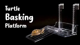 Turtle Basking Platform