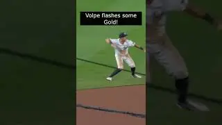 Gold Glove Glimpse: Volpe Shuts It Down! #yankees #anthonyvolpe