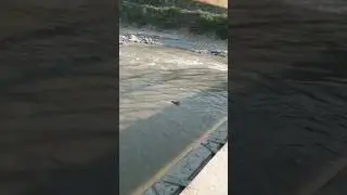 River Discharge Measurement #adcp #river #velocity #waves #current#science #instruments #discharge