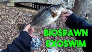 BioSpawn ExoSwim Swimbait Bass Fishing at Jeffries Creek, Florence Sc