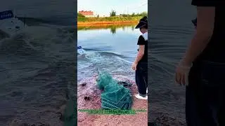 Remote Control Boat Pulls Shrimp Traps to Lake Center