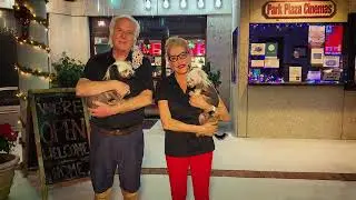HAPPY THANKSGIVING PPCINEMA 16X9 FB, LI, YT 1