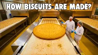 How Biscuits Are Made | Inside a Modern Automatic Biscuit Factory