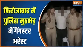 UP Police Encounter:फिरोजाबाद पुलिस का एक्शन,बदमाश के पैर में गोली लगने के बाद किया गया गिरफ्तार