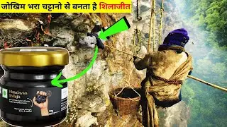 How is Shilajit cultivated How Shilajit Is Made | How is Shilajit made