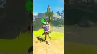 Magnesis + Boomerang (The Legend of Zelda: Breath of the Wild)