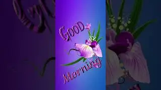 nice good morning gif animation