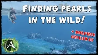ArcheAge - Finding pearls in the wild and why it's worth