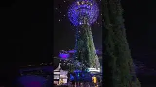 Christmas Wonderland 2023, Gardens by the Bay, Singapore