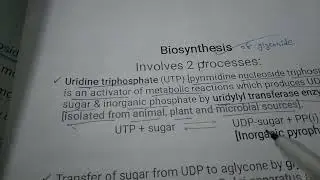 Biosynthesis of glycoside