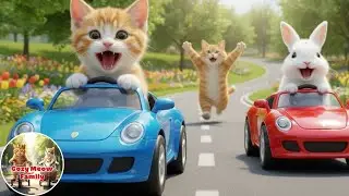 Cozy Meow Family | Helping a Lost Bunny Find His Mom | Cat Videos & Animal Friends