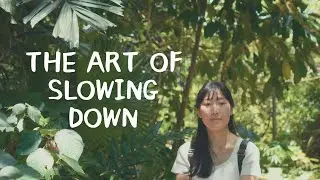 The Art of Slowing Down