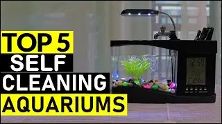 Top 5 Best Self Cleaning Aquariums in [2026]