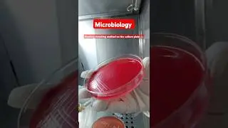 microbiology:showing streaking method on the culture 🧫 plate 🔥#shorts #skvpathlab #microbiology