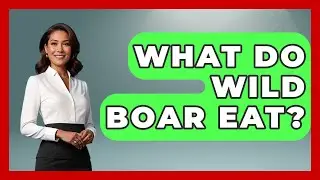 What Do Wild Boar Eat? - Chasing Big Fish