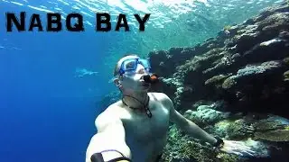 Snorkelling off Nabq Bay beach reef, Sharm El Sheikh
