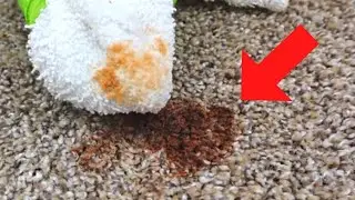 Let's Remove Hair Dye From Carpet