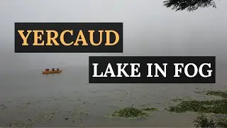 There was fog everywhere around Yercaud Lake | #venkatesanprs #yercaudlake #fog #tamilnadu