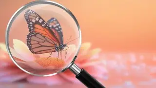 Magnifying Effect in Canva