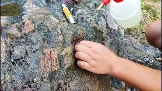 Amethyst Mining