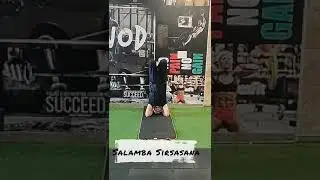Headstand Diamond Variations #Salamba Sirsasana #shorts #Fit Viewer