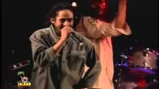 Damian Marley - War / No More Trouble (Live)