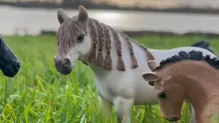 The Chosen One - Schleich horse movie part 2