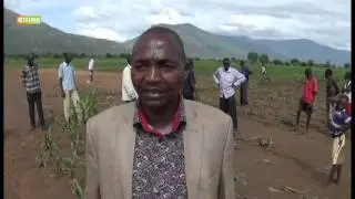 Floods destroy crops in West Pokot County
