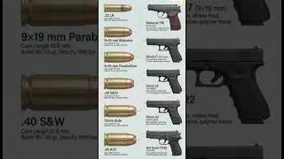 Handgun Caliber Comparison Guide: Common Cartridges and Matching Pistols#shorts