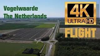 Flight in Vogelwaarde The Netherlands 4K