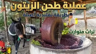 طحن الزيتون في الرحى واستخراج الزيت بطريقة تقليدية#طريقة تقليدية لإخراج زيت الزيتون وثمن الزيت