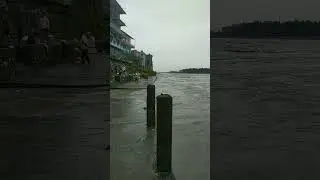 narayani river #trending #lyrics #song #music #stre #views #streetbob #harleydav #shorts