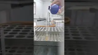 Sulfuro de plomo m&aacute;s per&oacute;xido de hidr&oacute;geno (REDOX)