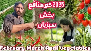 Vegetables to plant in February and March || Best crops for early spring ||Warm-season vegetable
