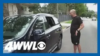 Dozens of car break-ins in Lakeview overnight