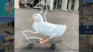 The Duck Outline Trend (viral tiktok trend)
